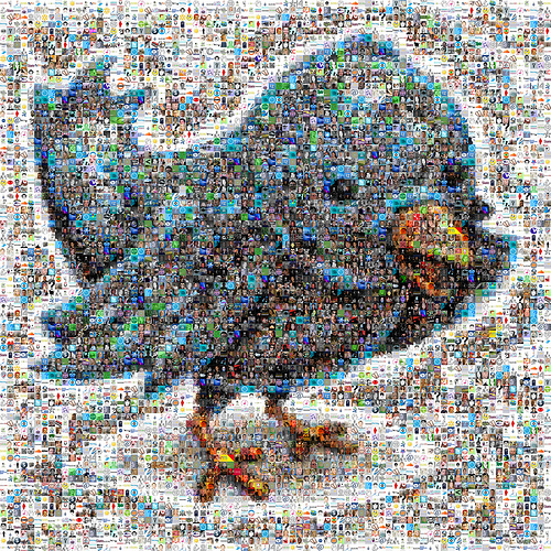 twitter