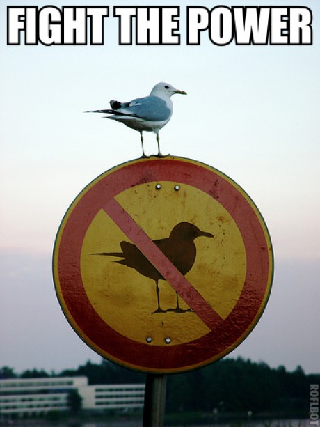 No Future