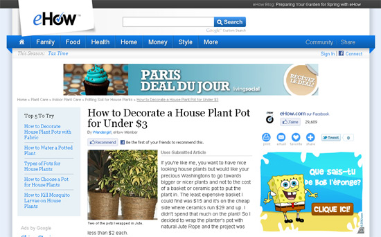 pot-de-fleurs